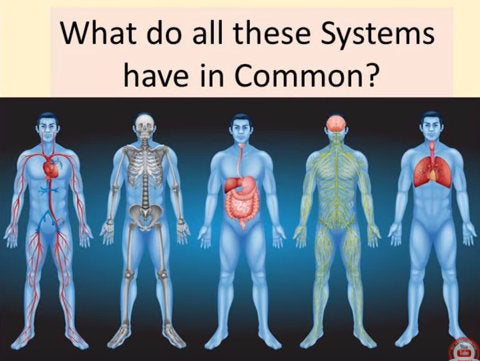 You want to know this: Dr John Bergman - Getting Started