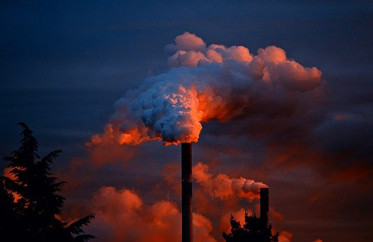 Pollution everywhere – what can I do?